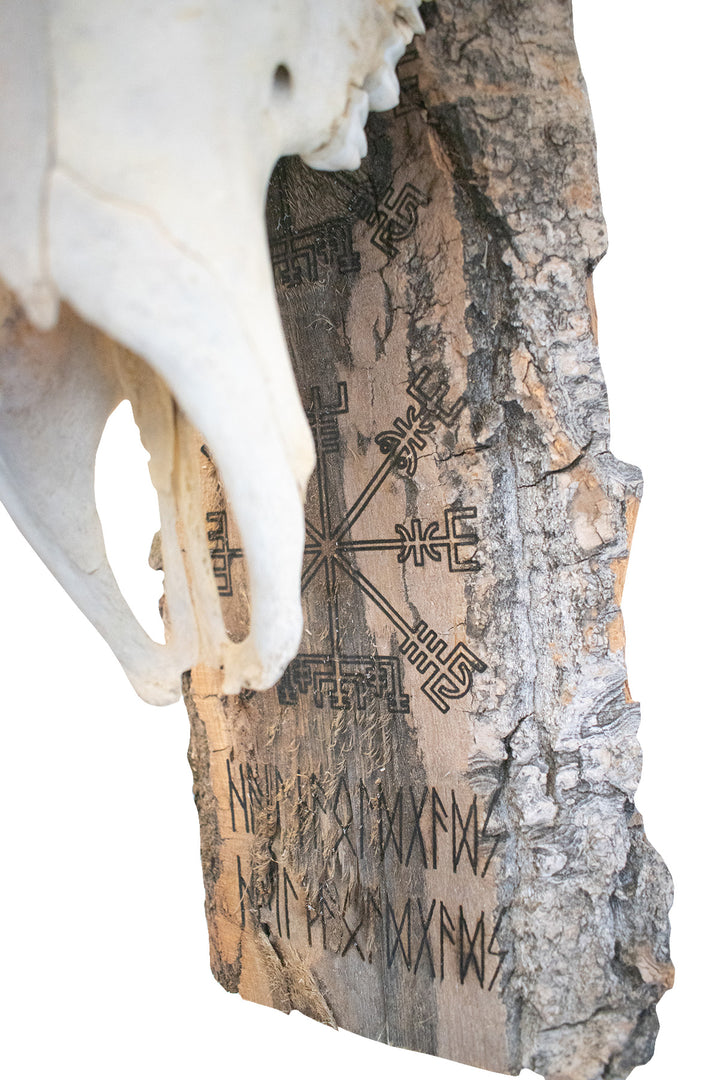 moon phase/vegvisir/hail the old gods elk skull hanger