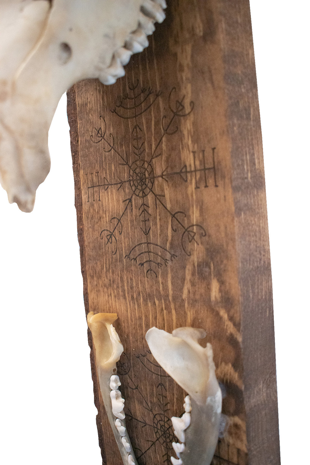 veldismagn elk skull hanger