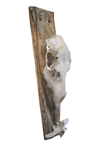 Image of ODIN elk skull wall hanger