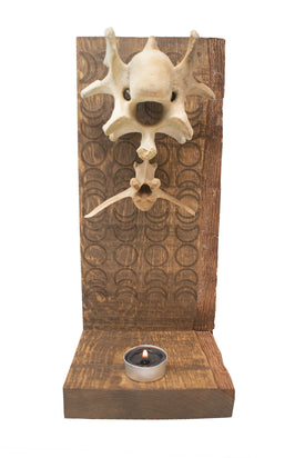 moon phase elk vertabra altar