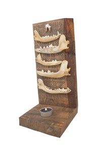 stacked jawbones & elder futhark runes altar