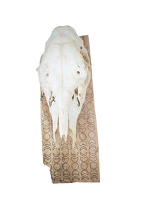 moon phase elk skull hanger