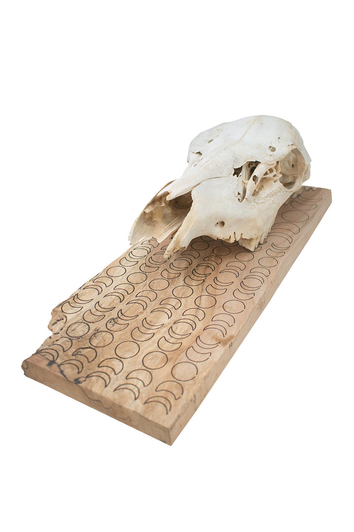 moon phase elk skull hanger