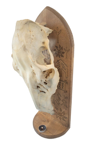 Image of norse symbolism elk skull altar
