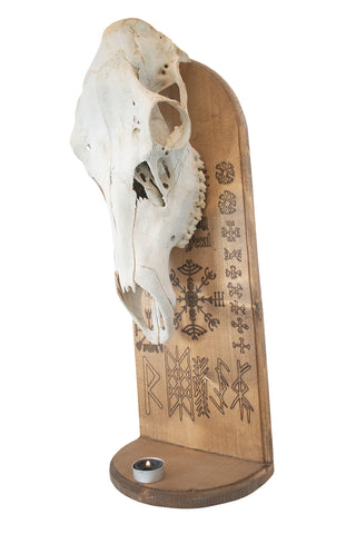 Image of norse symbols elk skull altar