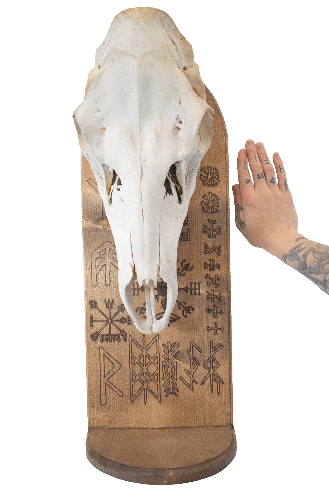 norse symbols elk skull altar
