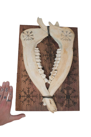Image of norse staves jawbone wall hanger