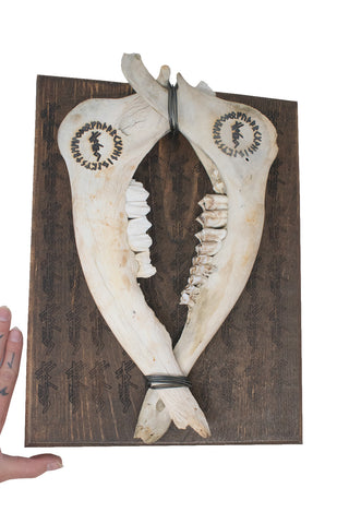 Image of Freya bindrune jawbone wall hanger