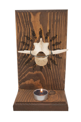 Image of Odin bindrune and elk vertebra altar