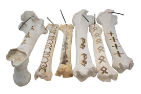 elk & cow bone incense dishes - lot 1