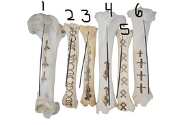 elk & cow bone incense dishes - lot 1