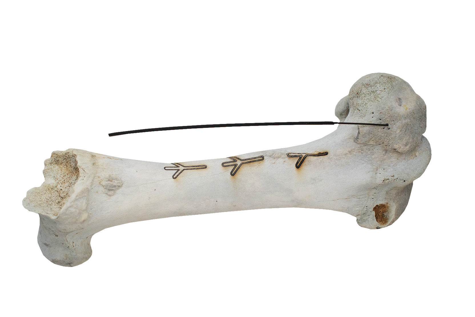 elk & cow bone incense dishes - lot 1