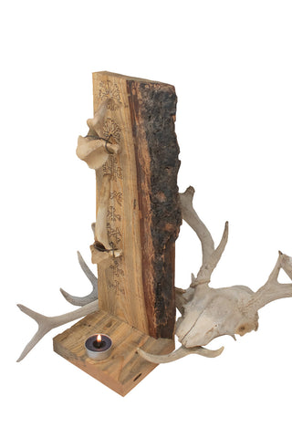 Image of 9 helms vertebra altar