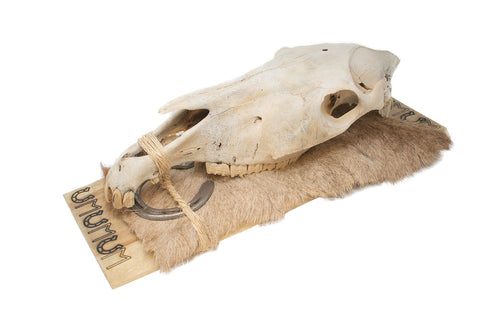 Image of horse skull and Ehwaz rune hanger