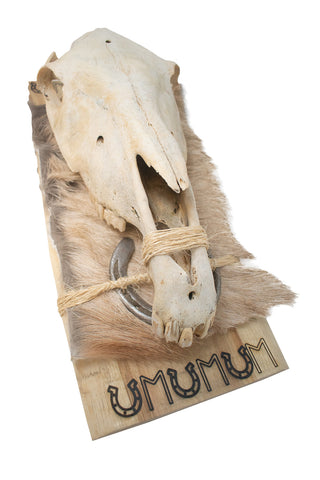 Image of horse skull and Ehwaz rune hanger