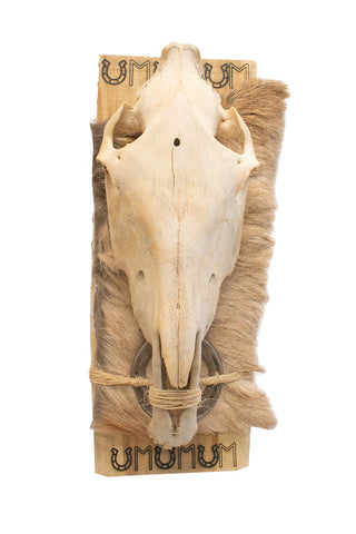 Image of horse skull and Ehwaz rune hanger