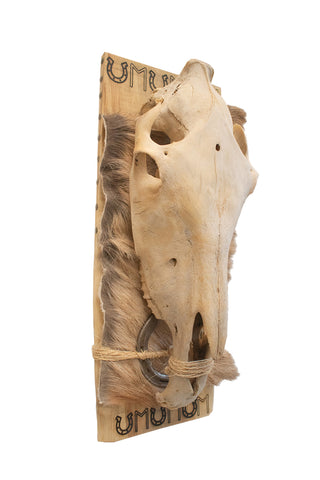 Image of horse skull and Ehwaz rune hanger