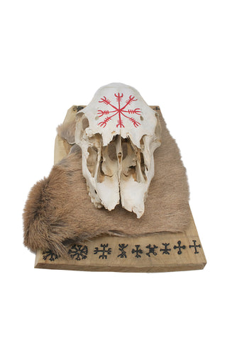 Image of 9 helms elk skull hanger