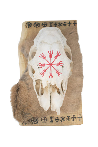 Image of 9 helms elk skull hanger