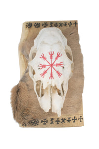 9 helms elk skull hanger