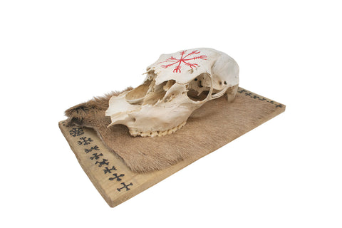 Image of 9 helms elk skull hanger