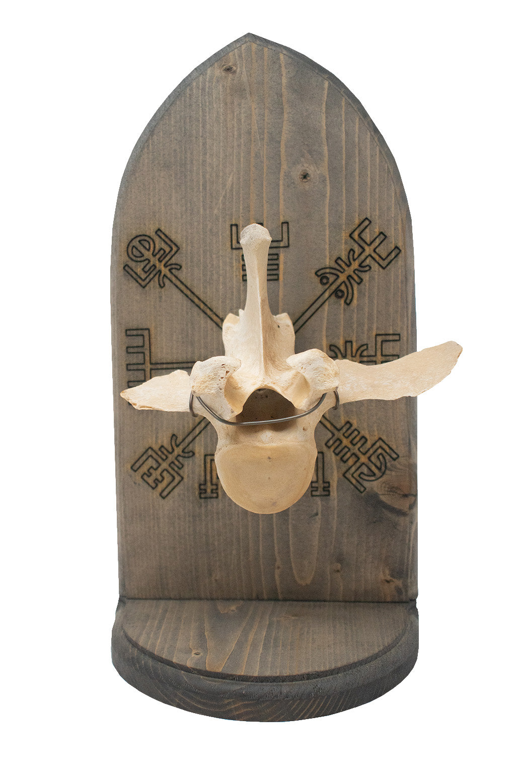 vegvisir cow vertebra altar