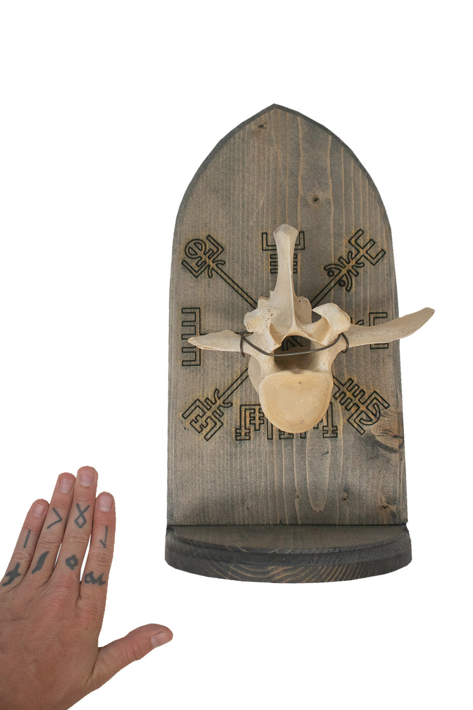 vegvisir cow vertebra altar