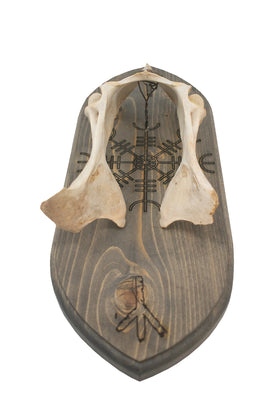 deep hip bone & Ægishjálmr wall hanger