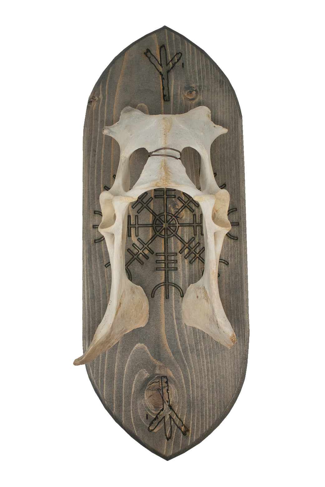 deep hip bone & Ægishjálmr wall hanger