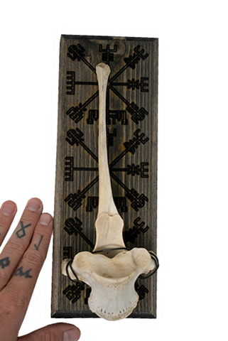 Image of vegvisir elk vertebra hanger