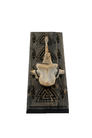 Image of Odin bindrune & valknut elk vertebra hanger