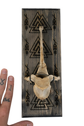 Image of Odin bindrune & valknut elk vertebra hanger