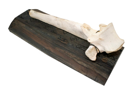 Runic & elk vertebra wall hanger