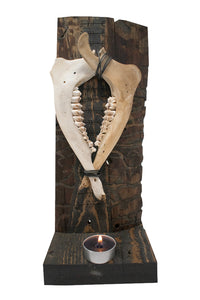 Protection sigil deer jawbone altar