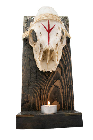 Image of Elder Futhark runes & deer skull altar