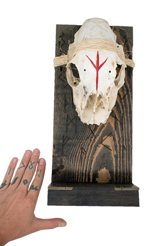 Image of Elder Futhark runes & deer skull altar