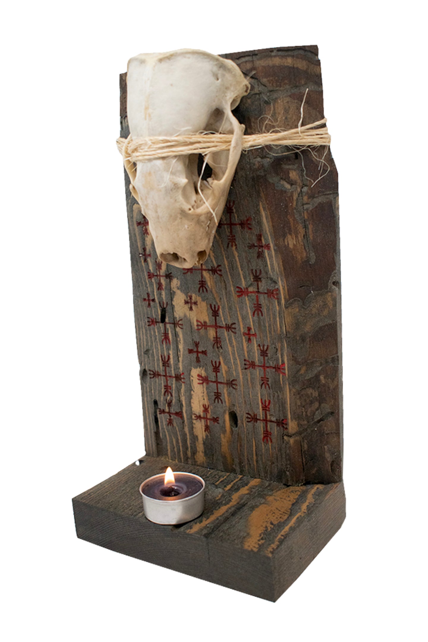 Badger skull & ward off negative forces sigil altar