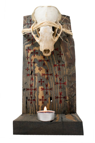 Image of Badger skull & ward off negative forces sigil altar