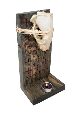 Image of Badger skull & ward off negative forces sigil altar