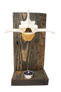 Othala rune & elk vertebra altar