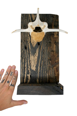 Image of Othala rune & elk vertebra altar