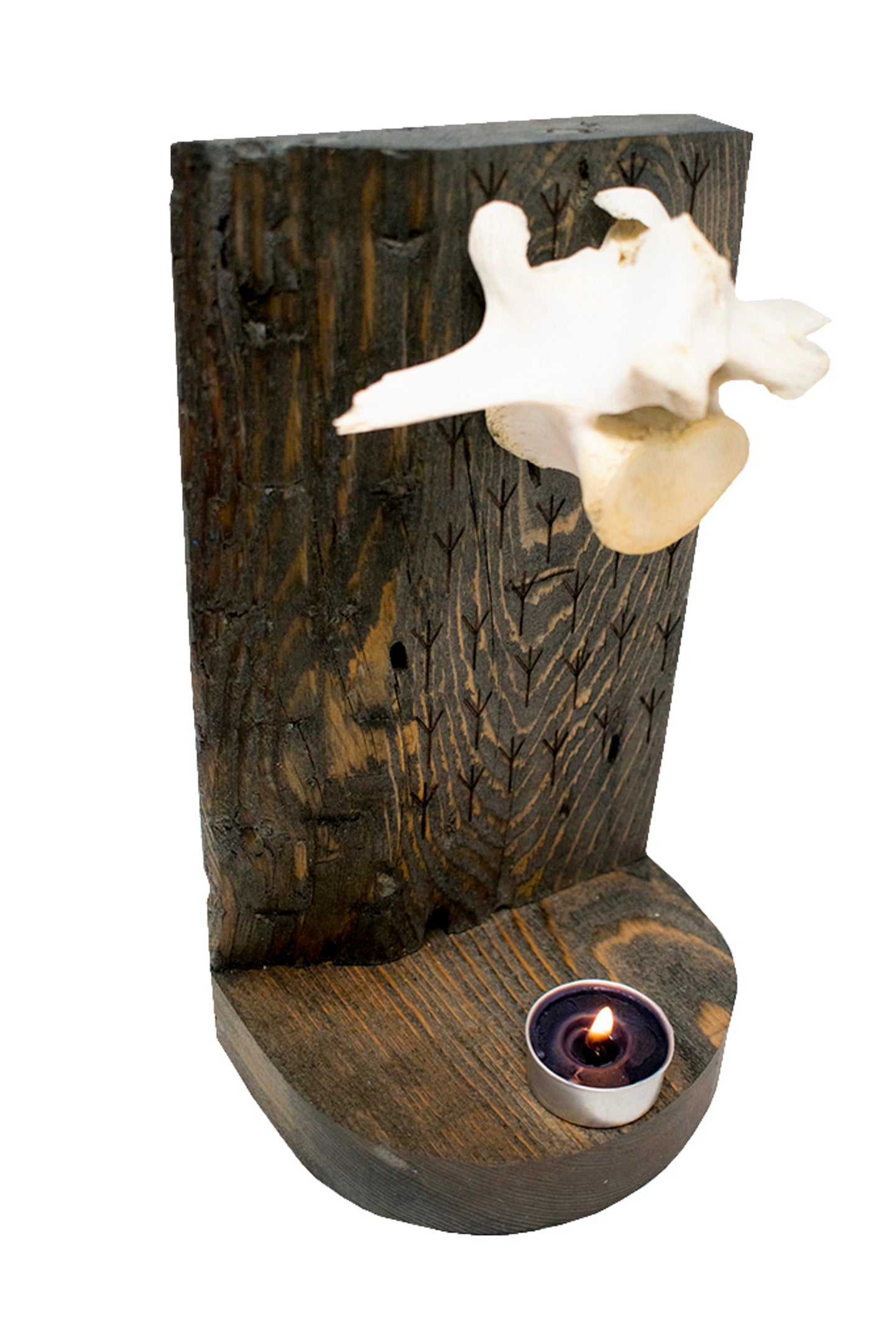 protection (algiz rune) & elk vertebra altar