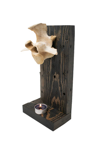 Image of altar for wisdom (ansuz rune) & elk vertebra