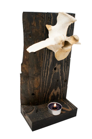 Image of altar for wisdom (ansuz rune) & elk vertebra