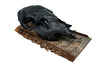 To cause fear in enemies (Skelkunarstafur) blackened elk skull wall hanger