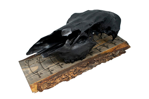 Image of To cause fear in enemies (Skelkunarstafur) blackened elk skull wall hanger