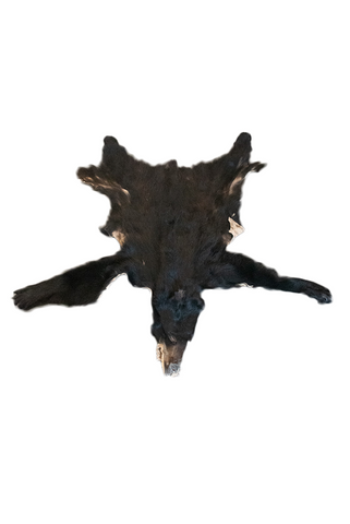 Image of black bear hide