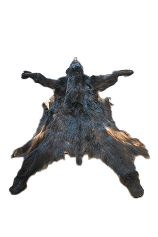 Image of black bear hide