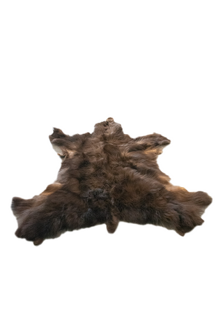 Image of color phase (cinnamon) black bear hide