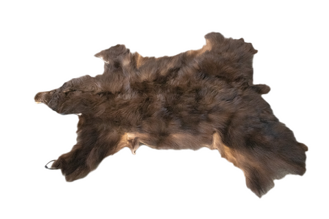 Image of color phase (cinnamon) black bear hide